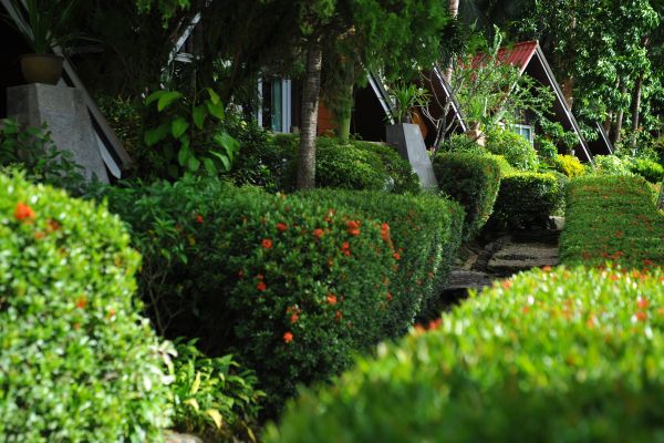 Sea View Resort and Spa (Trat)